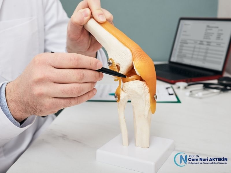meniskus-nedir-neden-bu-kadar-onemli